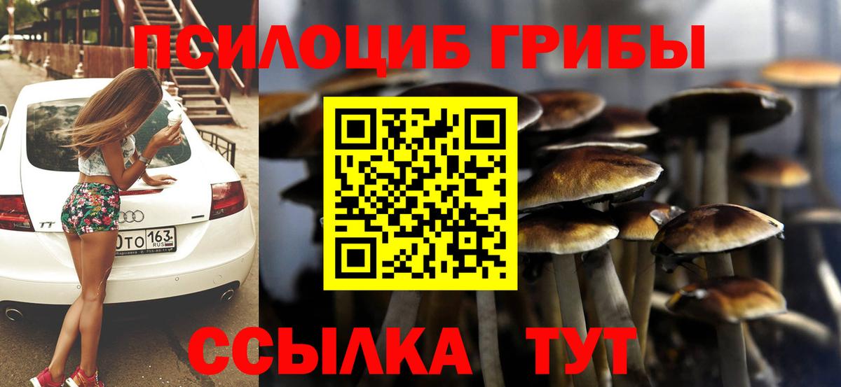 Псилоцибиновые грибы мухоморы Свободный