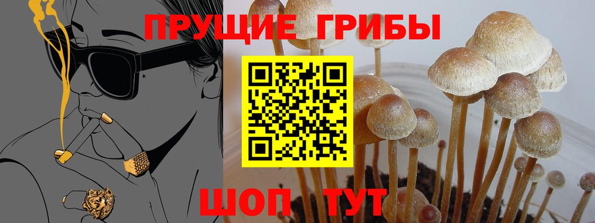 Галлюциногенные грибы Magic Shrooms  Вход с VPN  Свободный 